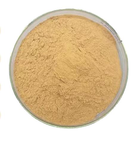 Mycotoxin Binder